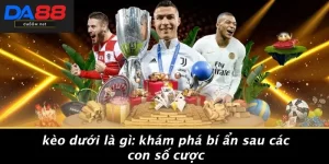 Kèo Dưới Là Gì