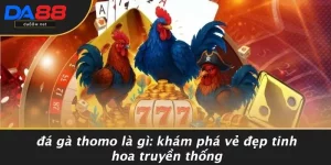 Đá Gà Thomo Là Gì
